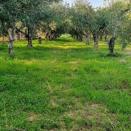 Casa Gelso